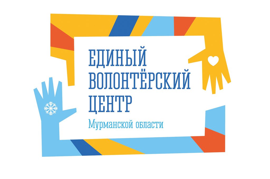 В Мурманской области организовали встречи для женщин, чьи близкие участвуют в СВО