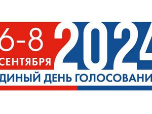 Избирательные кампании-2024