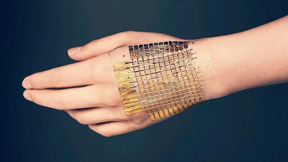 В России разработали элементы для создания "электронной кожи"