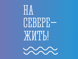 Исследования и кейсы