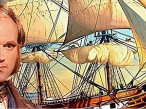 Что волнует общество прямо сейчас