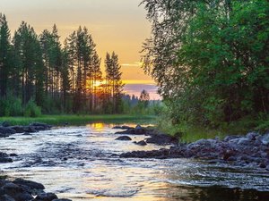 Исследования и кейсы