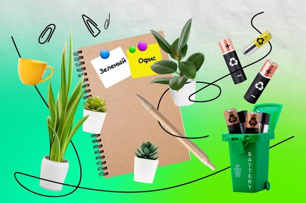 В Вологде проведут конкурс “Зелёный офис”