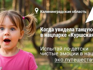 Исследования и кейсы