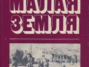 Что волнует общество прямо сейчас