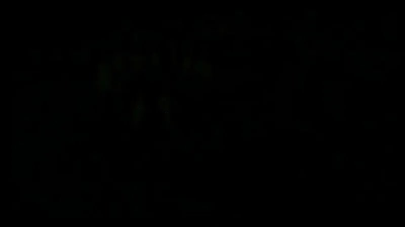 От шахматиста до неонациста*: два дня, два ножа и общая вина . Что случилось в школах Питера и Одинцово?