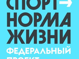 Исследования и кейсы