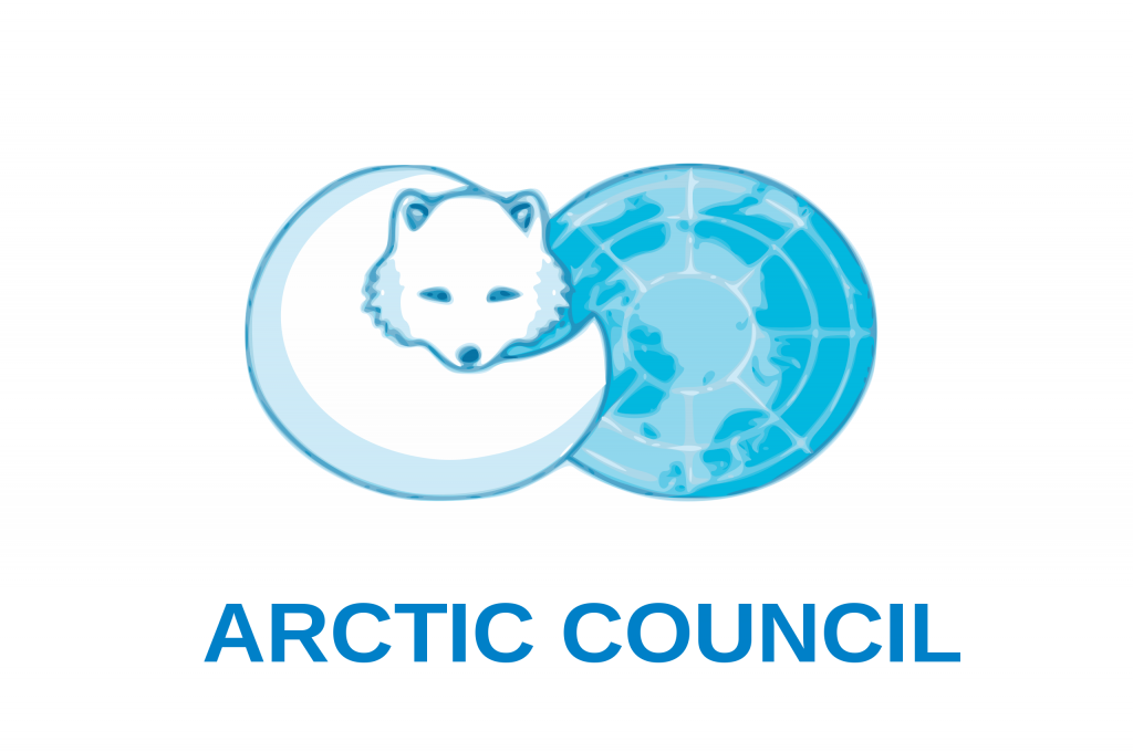 Екатерина Колесникова: «Отказ стран-участниц Арктического совета от сотрудничества с Россией может позволить обнулить прошлые управленческие провалы на Севере»