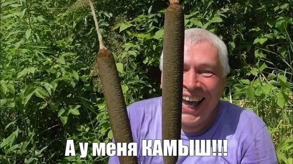 «Молодёжный возраст» предложили поднять до 45 лет, или А у меня камыш!