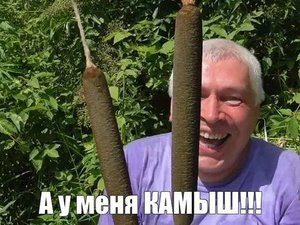 Что волнует общество прямо сейчас
