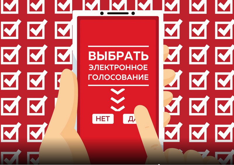 На муниципальных выборах в Пскове будет использоваться ДЭГ