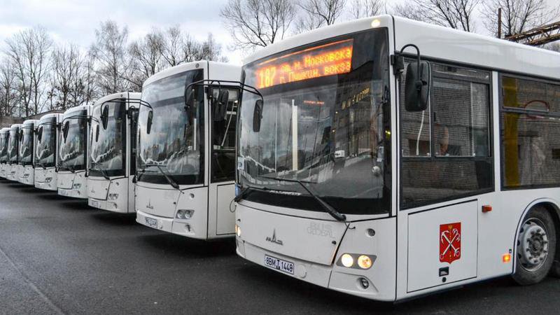 Благодаря транспортной реформе в Ленобласти количество автобусов на внутренних рейсах увеличилось в полтора раза