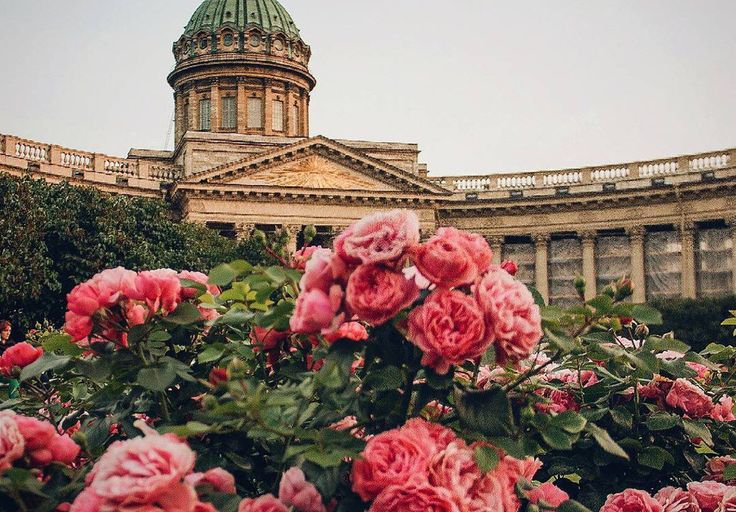 В Санкт-Петербурге туристам начали предлагать  курортный чек-ап