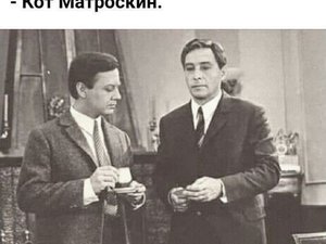 Новости регионов СЗФО