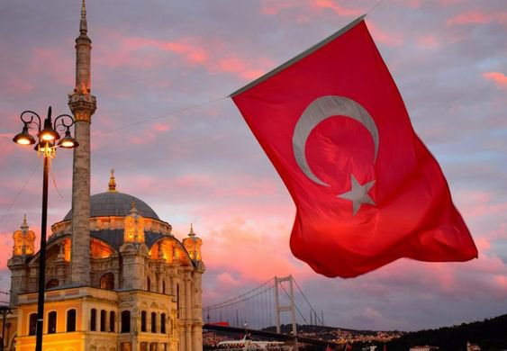 На избирательных участках Турции запретили использовать телефоны