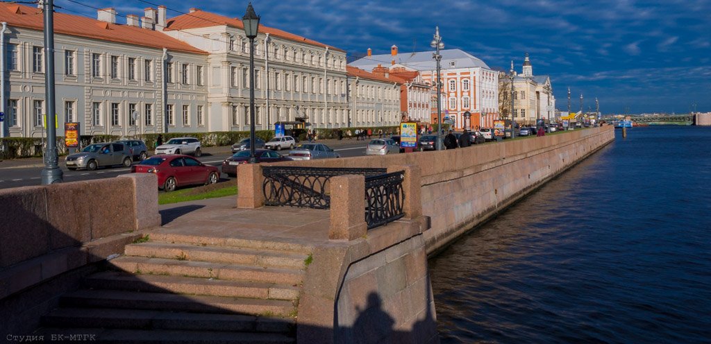 В Санкт-Петербурге откроют региональное отделение Российской Академии наук (РАН)